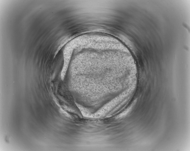 X0000098161001200805081100