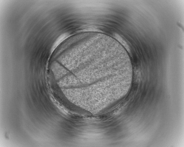 X0000098161002200805081100