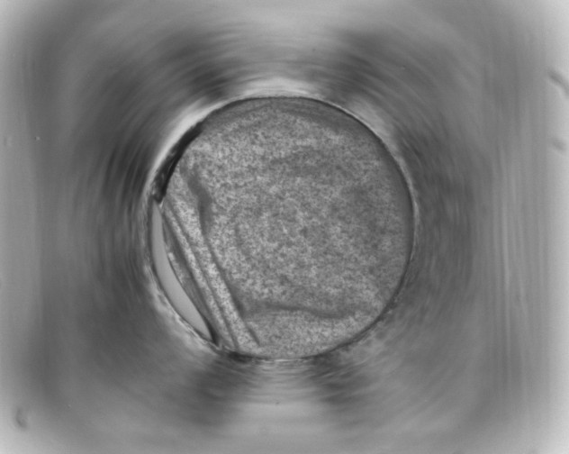 X0000098161008200805081059