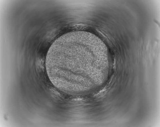 X0000098161010200805081059