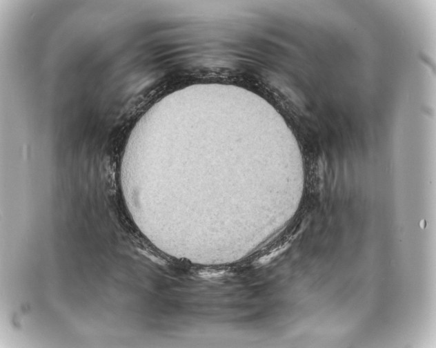 X0000098161013200805081059