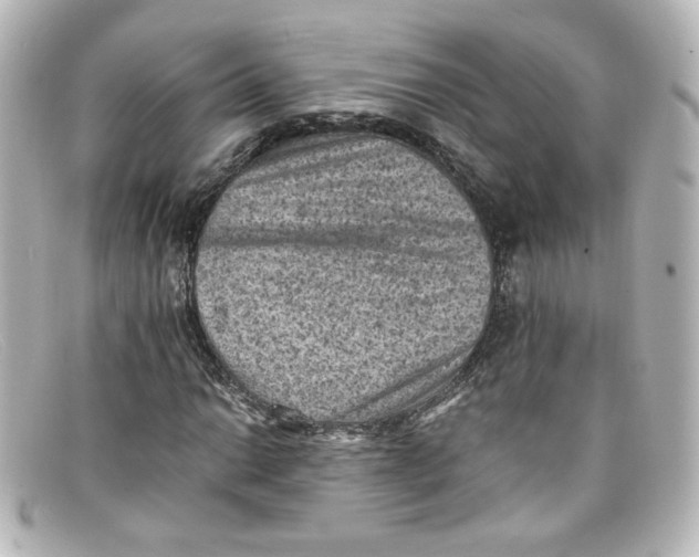 X0000098161014200805081059