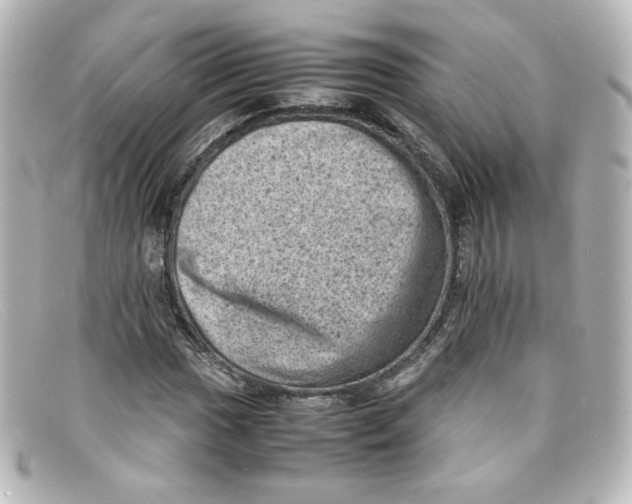 X0000098161017200805081059