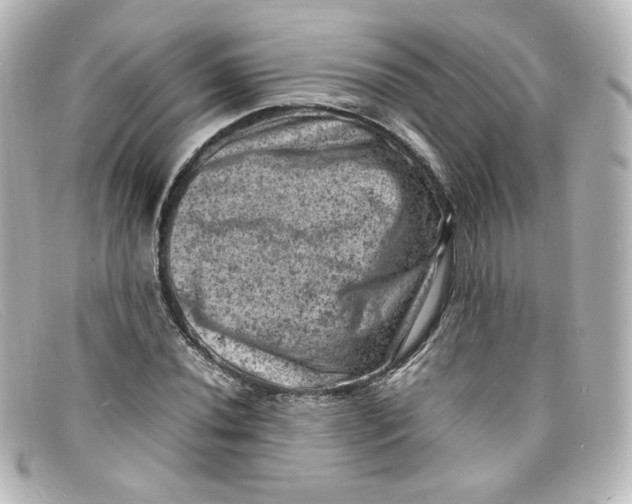 X0000098161020200805081059