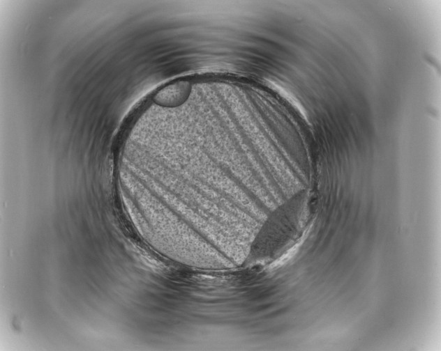X0000098161021200805081059
