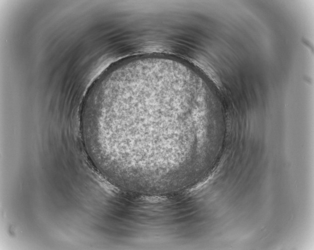 X0000098161023200805081059