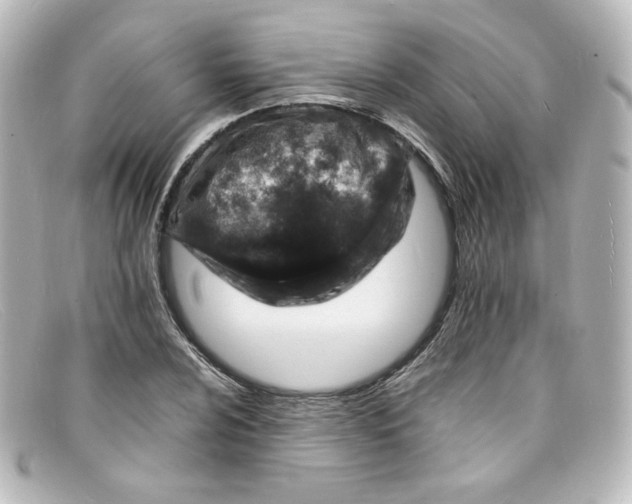 X0000098161024200805081059