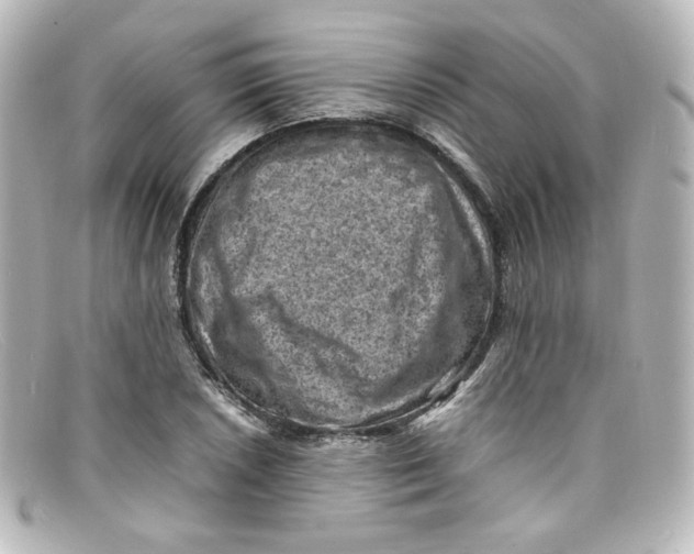 X0000098161026200805081059