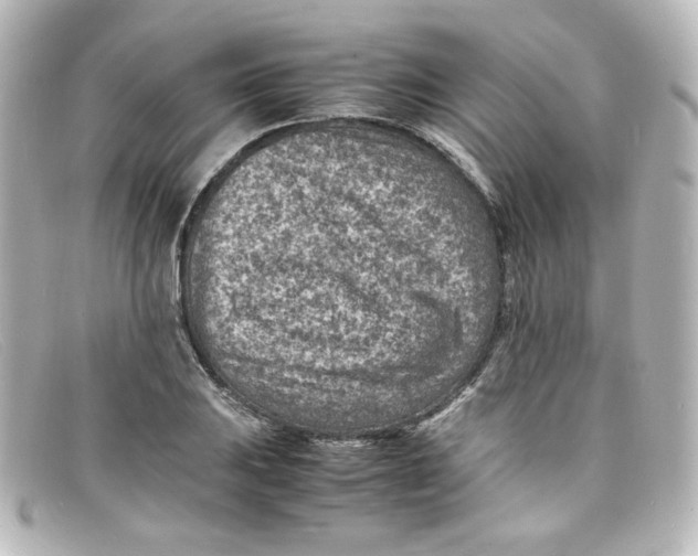 X0000098161031200805081059