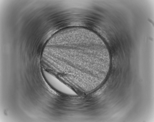 X0000098161033200805081059