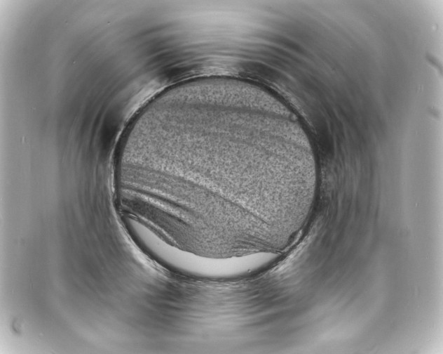 X0000098161034200805081059