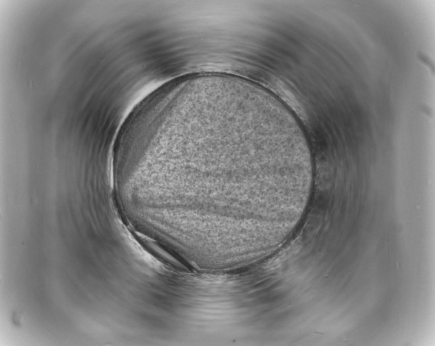X0000098161036200805081059