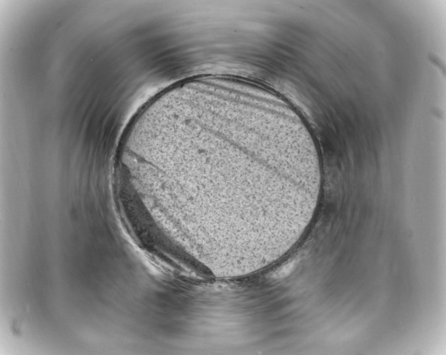 X0000098161040200805081059