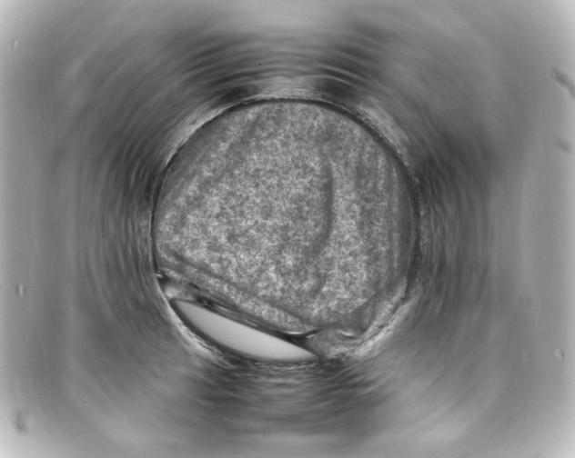 X0000098161041200805081059