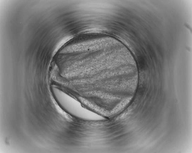 X0000098161042200805081059