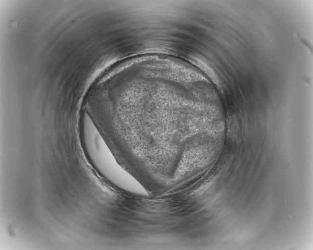 X0000098161043200805081059