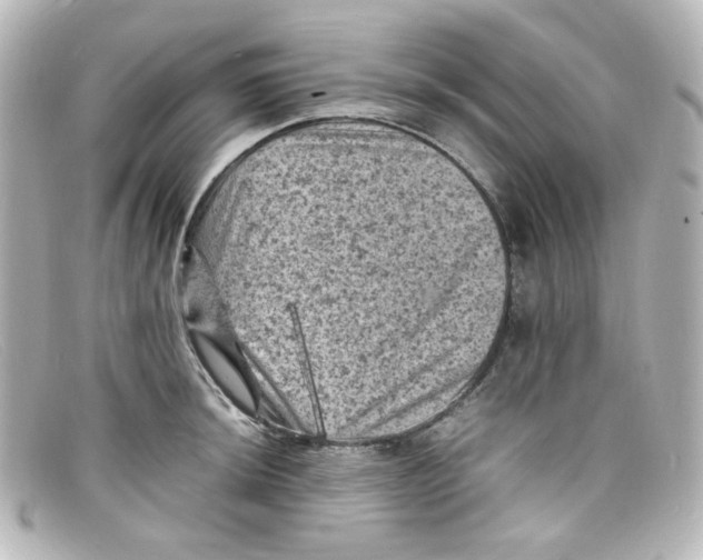 X0000098161044200805081059