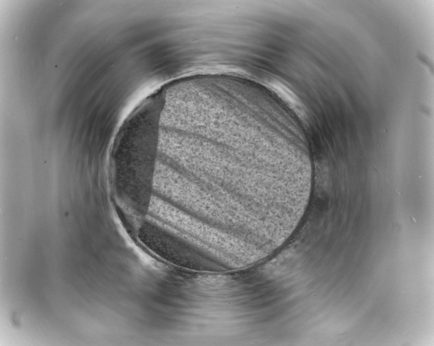 X0000098161046200805081059