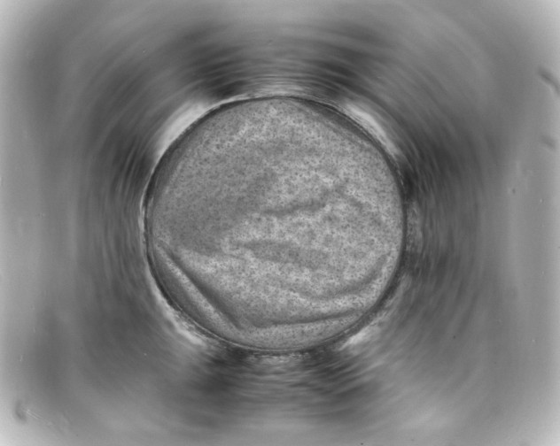 X0000098161047200805081059