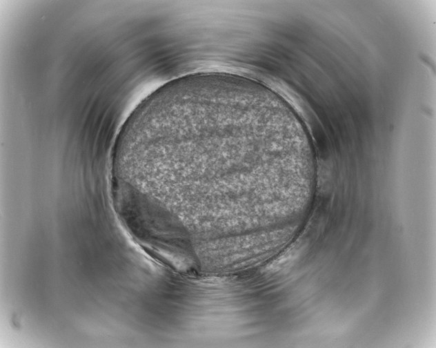 X0000098161048200805081059