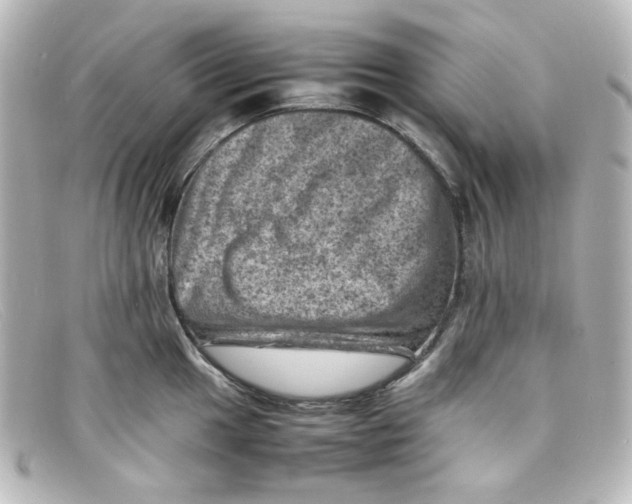 X0000098161049200805081059