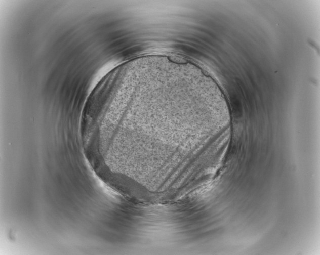 X0000098161050200805081059