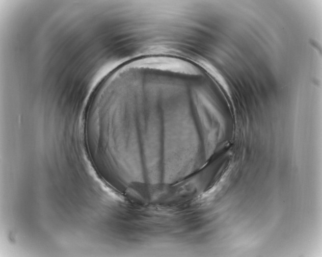 X0000098161053200805081059