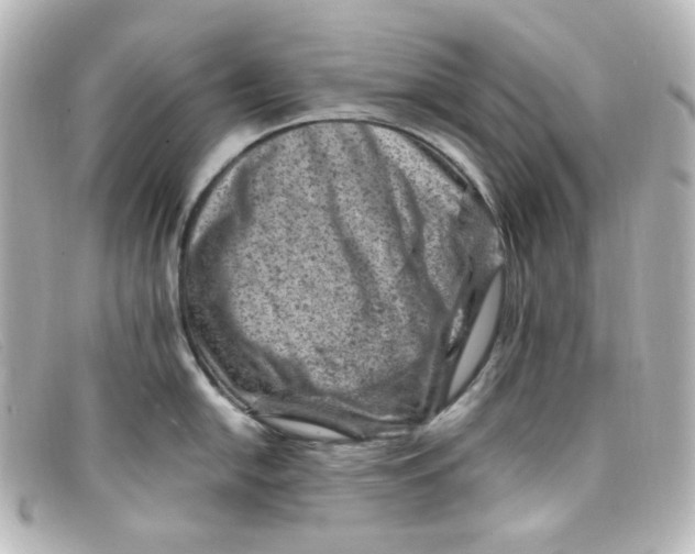 X0000098161054200805081059