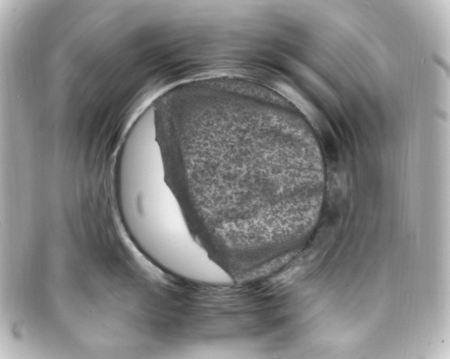 X0000098161055200805081059