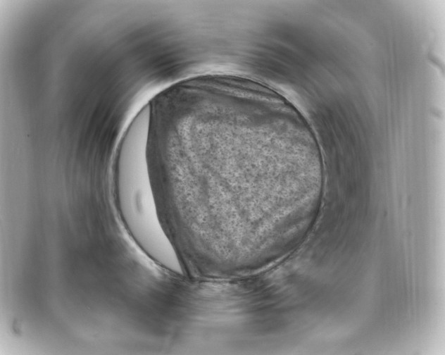 X0000098161056200805081059