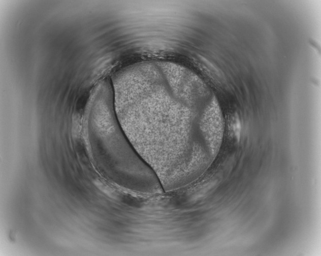 X0000098161060200805081059