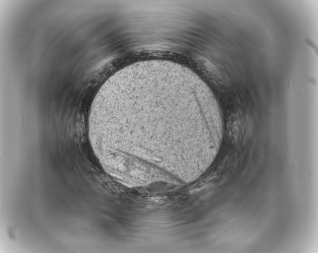 X0000098161062200805081059