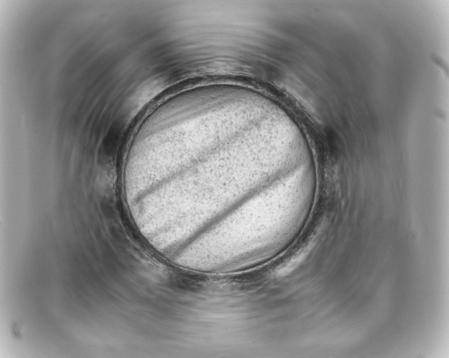 X0000098161065200805081059