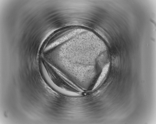 X0000098161068200805081059
