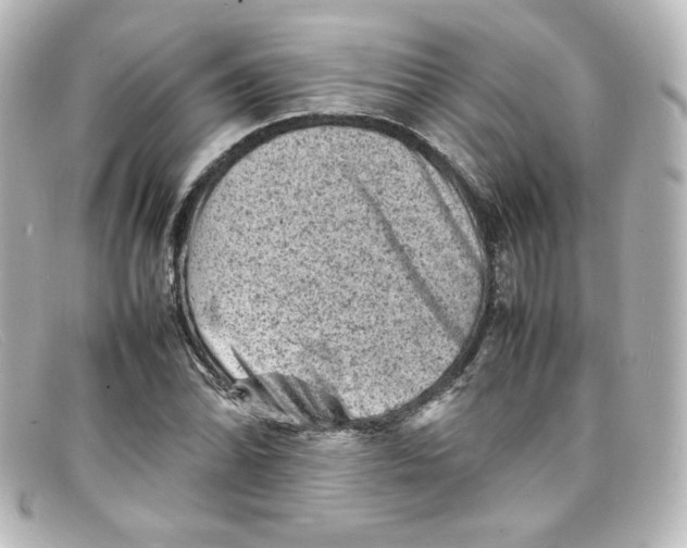 X0000098161070200805081059