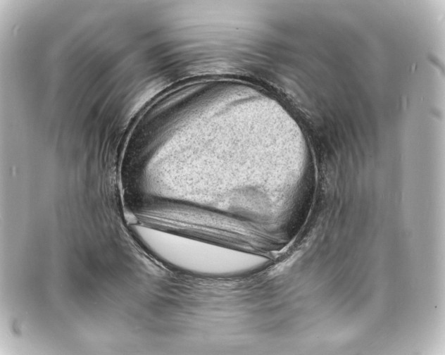 X0000098161073200805081059