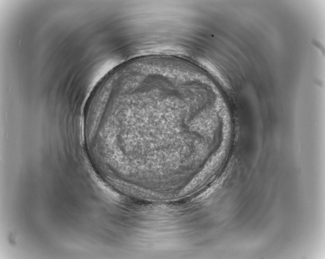 X0000098161079200805081058