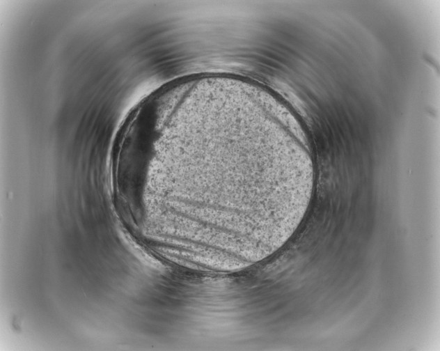 X0000098161080200805081058