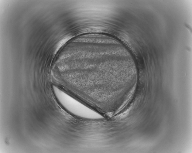 X0000098161081200805081058