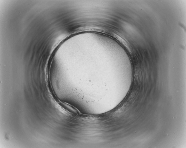 X0000098161082200805081058