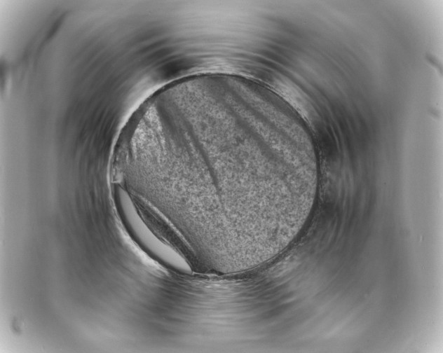 X0000098161084200805081058