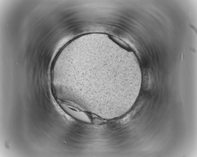 X0000098161088200805081058