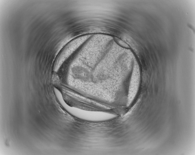 X0000098161089200805081058