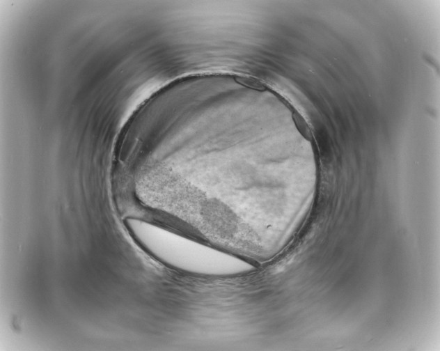 X0000098161093200805081058