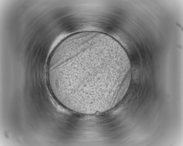 X0000098161094200805081058