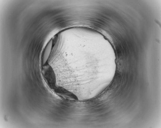 X0000098161096200805081058