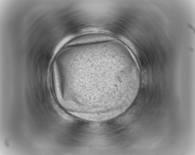 X0000098161098200805081058