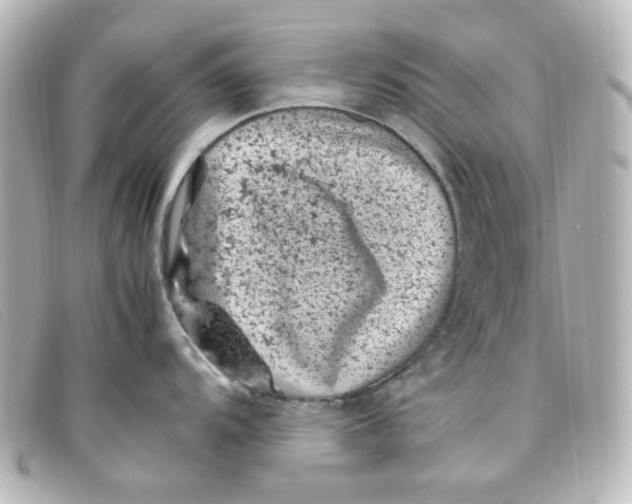 X0000098161104200805081058