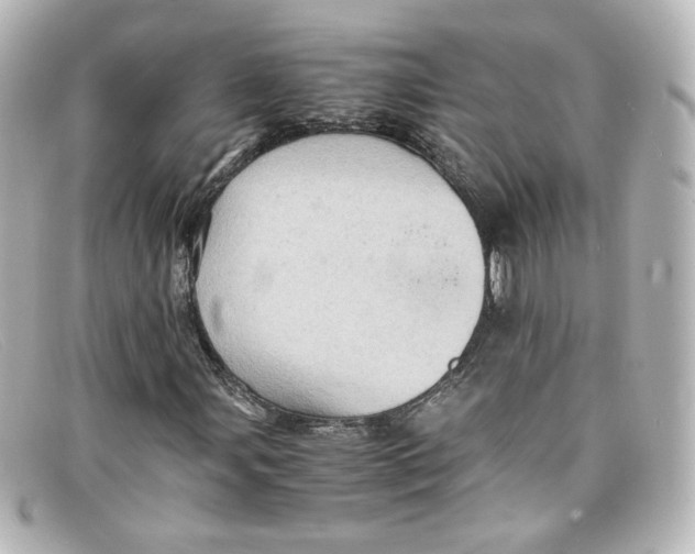 X0000098161107200805081057