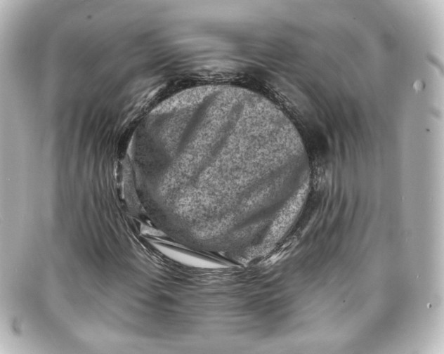 X0000098161108200805081057